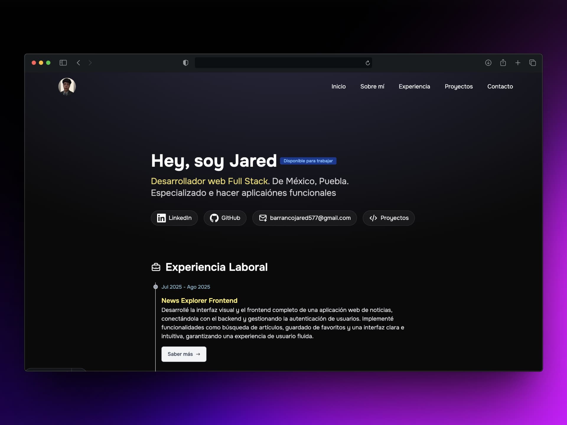 Porfolio Developer